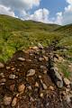 2018_08_04_Auvergne  (0029)